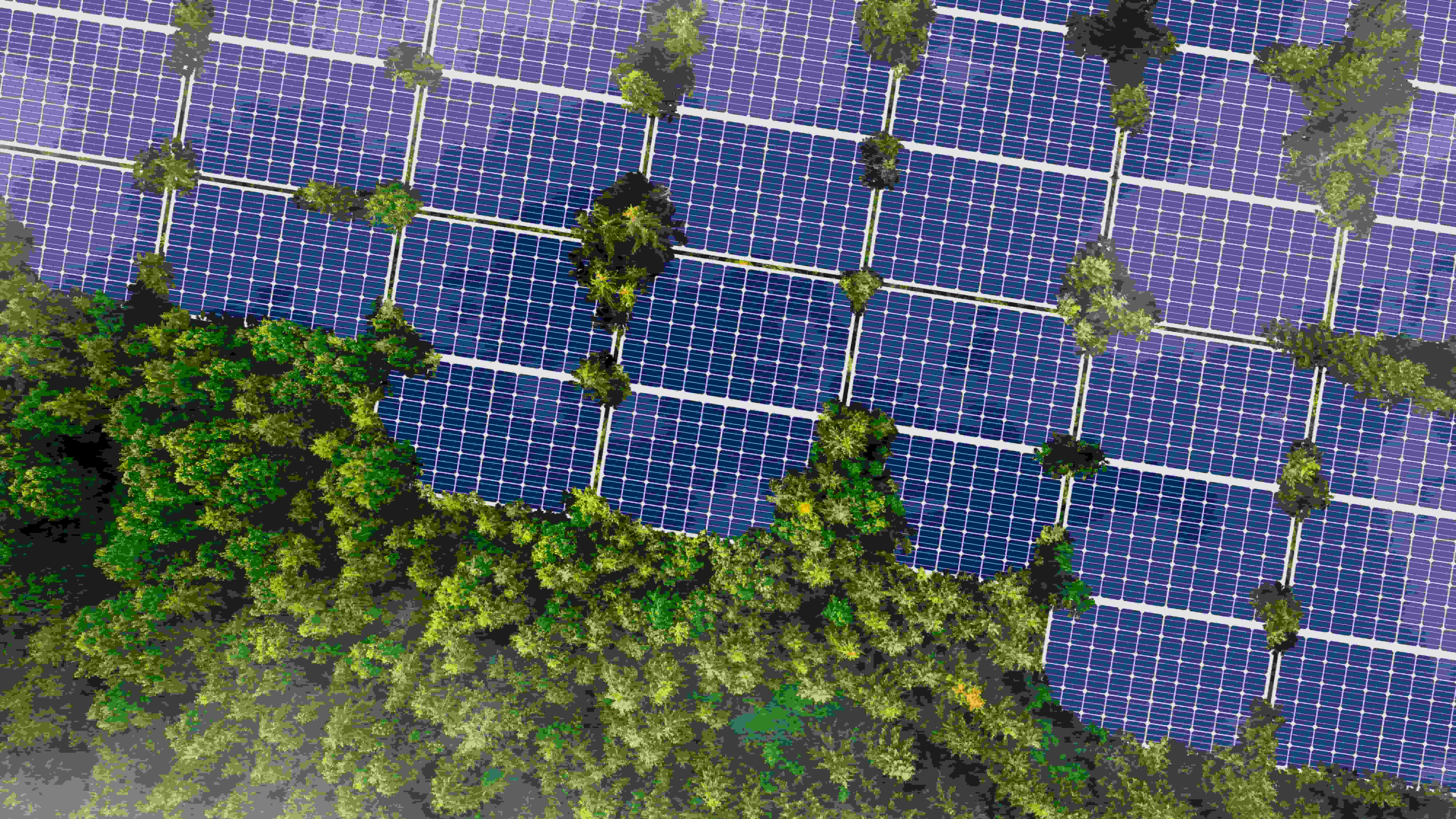 solar panels renewable energy