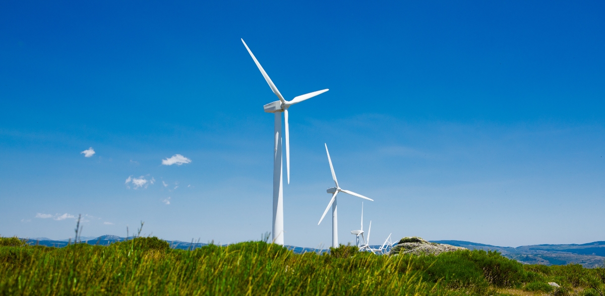 Windmills blue sky